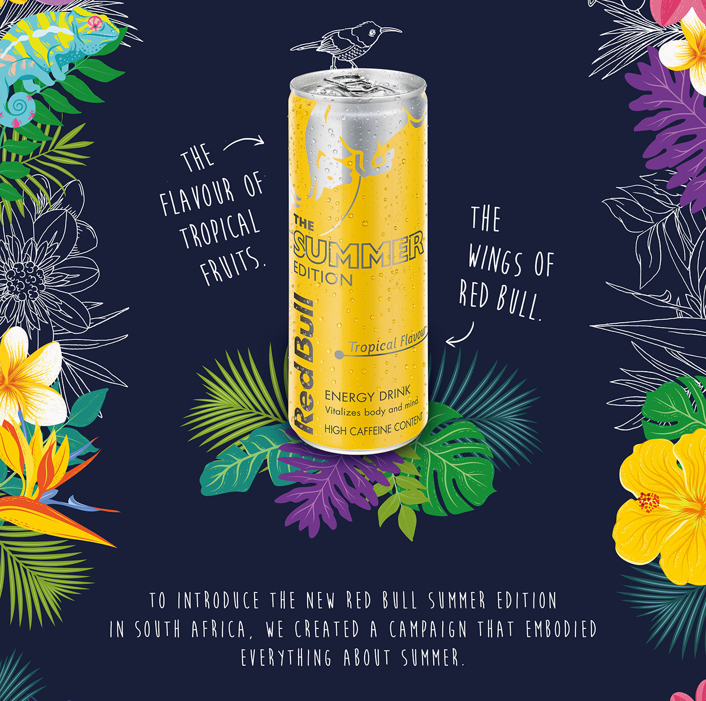 Red Bull Summer – Brand World